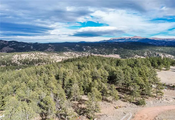 000 Twinkle RD, Guffey, CO 80820
