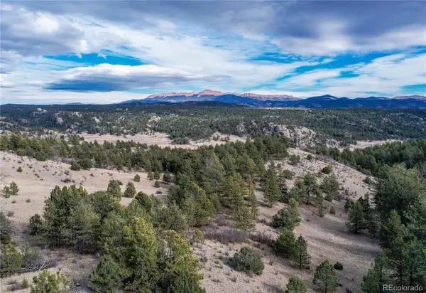 000 Twinkle RD, Guffey, CO 80820