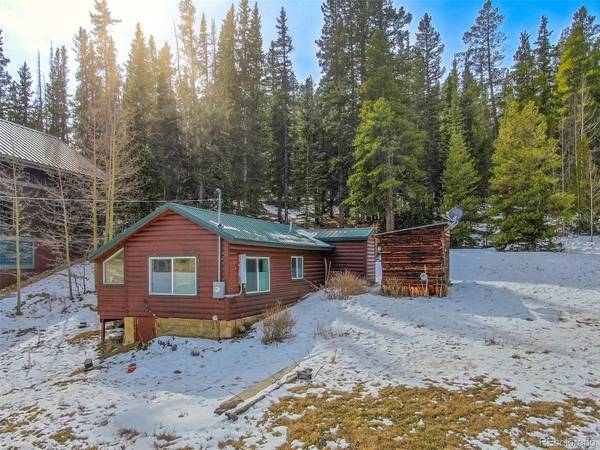 71 Aspen ST, Alma, CO 80420