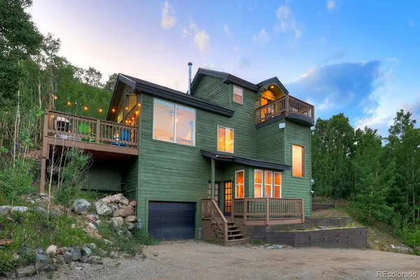1095 Quartzville RD, Alma, CO 80440