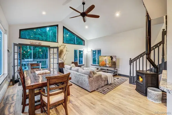 1095 Quartzville RD, Alma, CO 80440