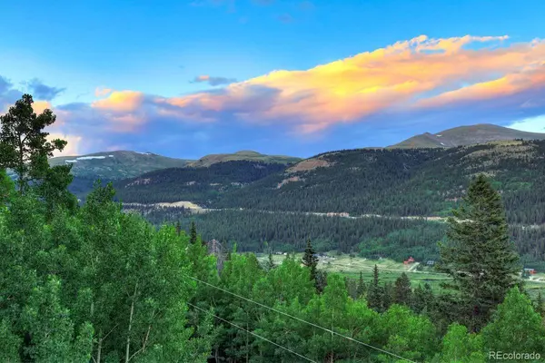 1095 Quartzville RD, Alma, CO 80440