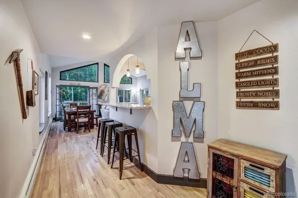1095 Quartzville RD, Alma, CO 80440