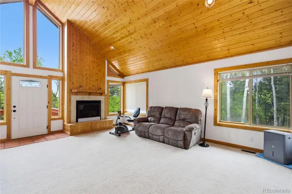 290 Eagle Rock RD, Florissant, CO 80816