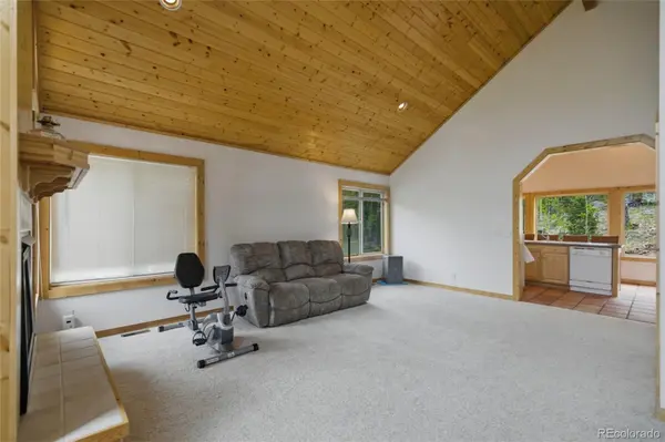 290 Eagle Rock RD, Florissant, CO 80816