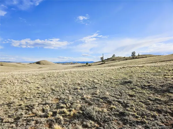 PCS#24142 Antero RD, Hartsel, CO 80449
