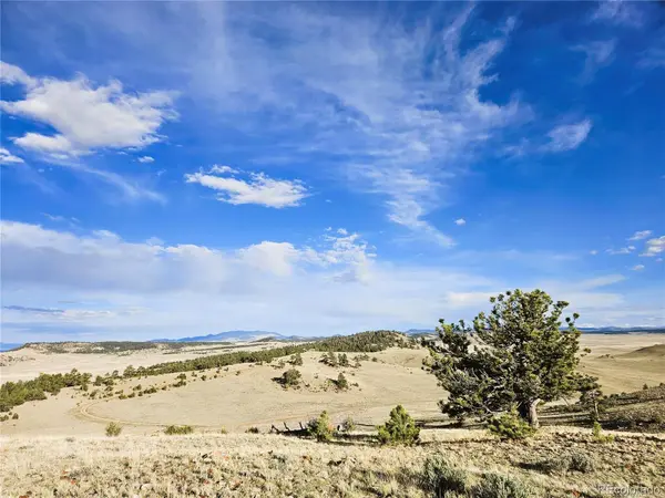 PCS#24142 Antero RD, Hartsel, CO 80449