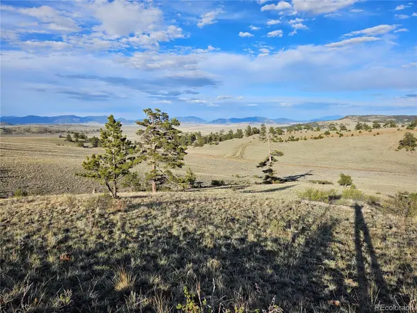 PCS#24142 Antero RD, Hartsel, CO 80449