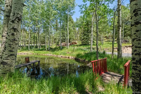 9030 Rex LN, Conifer, CO 80433