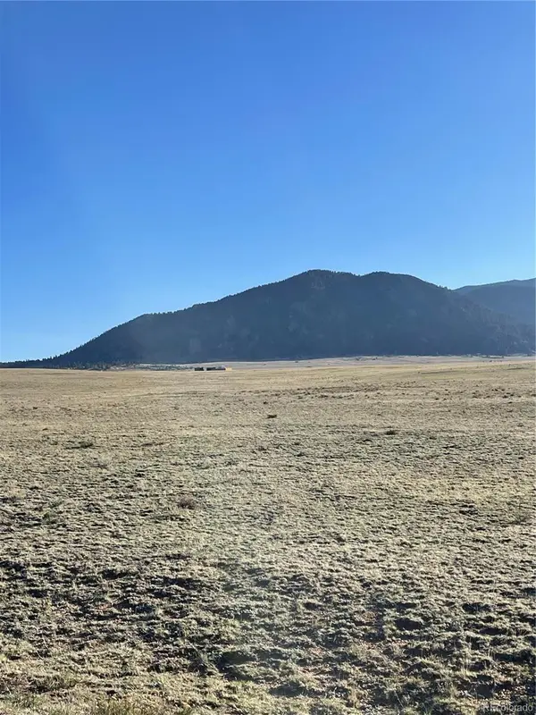 7685 Clear Creek RD, Hartsel, CO 80449