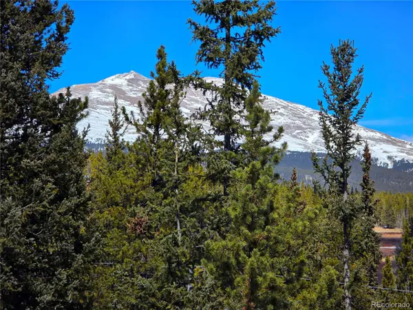 211 Pine Ridge RD, Alma, CO 80420