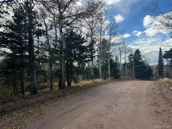 2663 Petito DR, Fort Garland, CO 81133