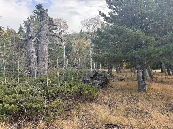2663 Petito DR, Fort Garland, CO 81133