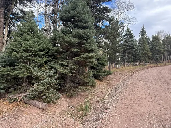 2663 Petito DR, Fort Garland, CO 81133
