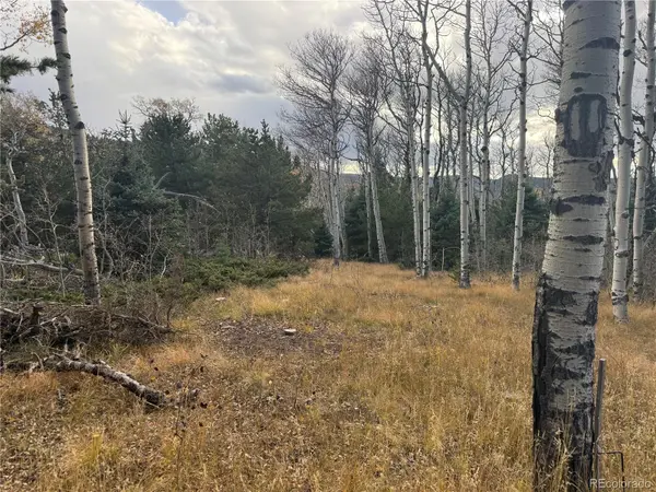 2663 Petito DR, Fort Garland, CO 81133