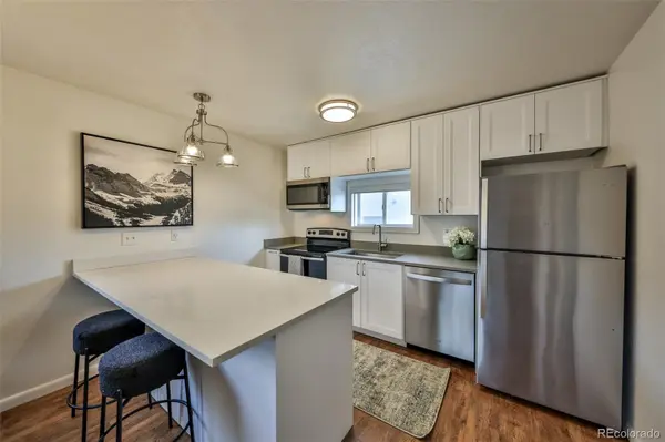 233 Fraser AVE #R1, Fraser, CO 80442