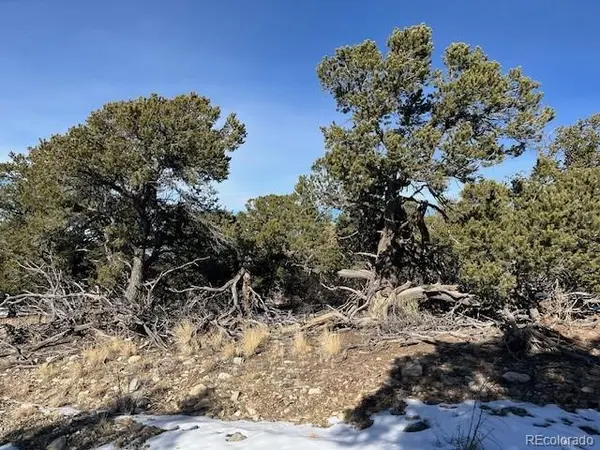 209 Blanca PL, Mosca, CO 81146