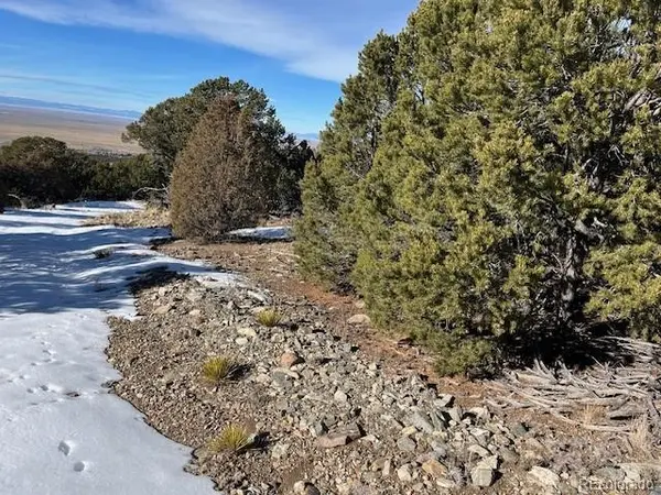 209 Blanca PL, Mosca, CO 81146