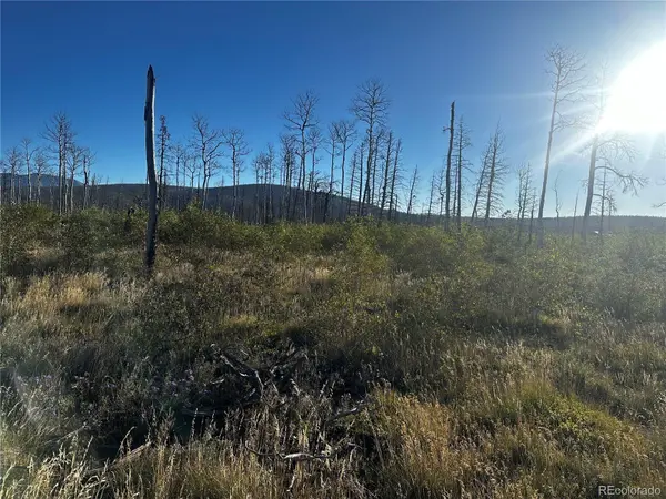 1312 Claytor LN, Fort Garland, CO 81133