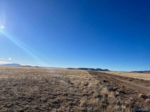 110 Delaware TRL, San Luis, CO 81152