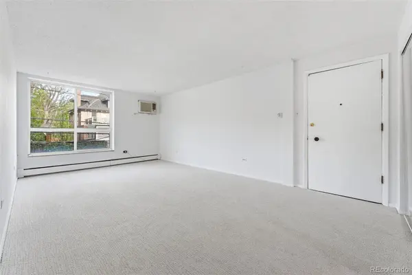 1050 N Lafayette ST #307, Denver, CO 80218