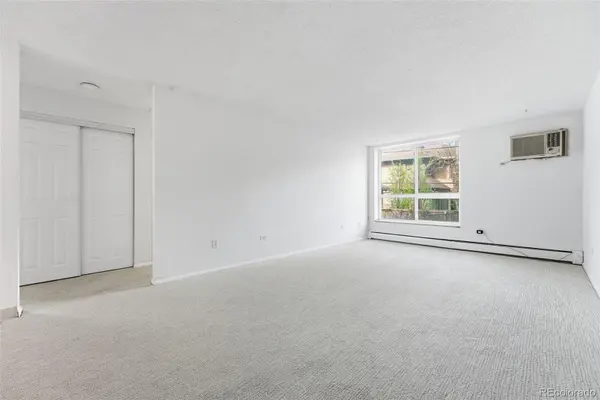 1050 N Lafayette ST #307, Denver, CO 80218