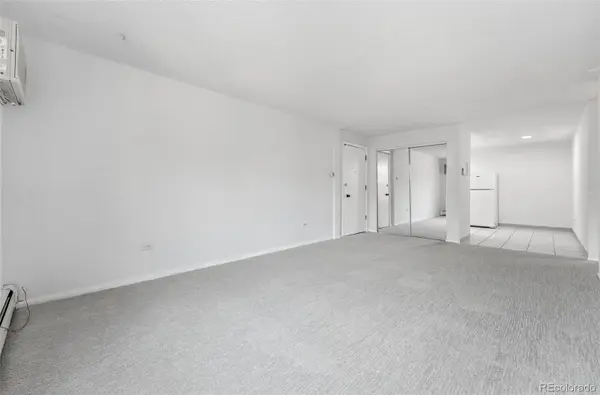1050 N Lafayette ST #307, Denver, CO 80218