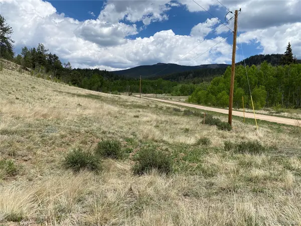 0 TBD Al Gulch RD, Jefferson, CO 80456