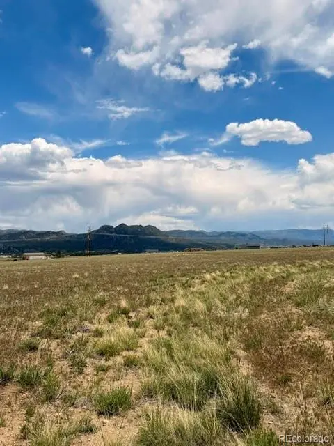 17550 Pony RUN, Buena Vista, CO 81211