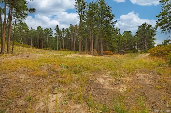 14420 S Perry Park RD, Larkspur, CO 80118