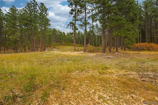 14420 S Perry Park RD, Larkspur, CO 80118