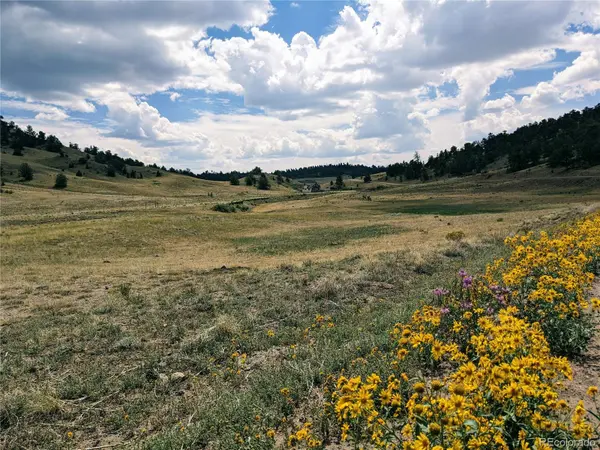 55 Jay CT, Hartsel, CO 80449