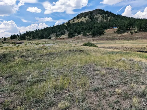 55 Jay CT, Hartsel, CO 80449