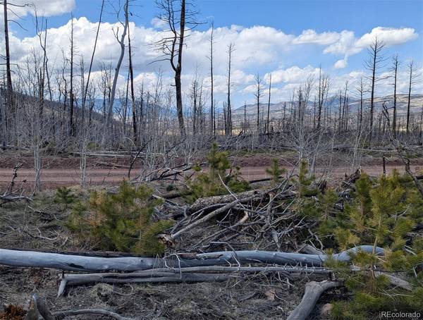 Lot 1882, Fort Garland, CO 81133