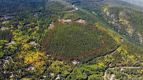 000 Sawmill LN, Idaho Springs, CO 80452