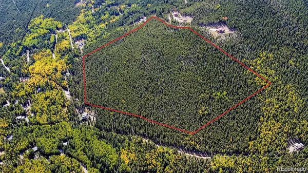 000 Sawmill LN, Idaho Springs, CO 80452