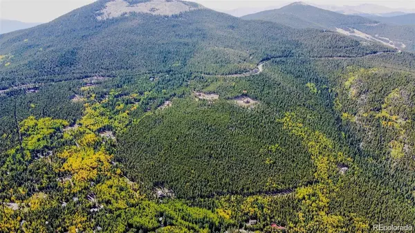 000 Sawmill LN, Idaho Springs, CO 80452