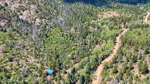 1927 Basin DR, Cotopaxi, CO 81223