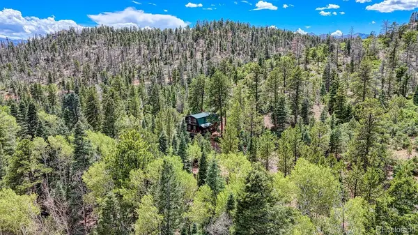 1927 Basin DR, Cotopaxi, CO 81223