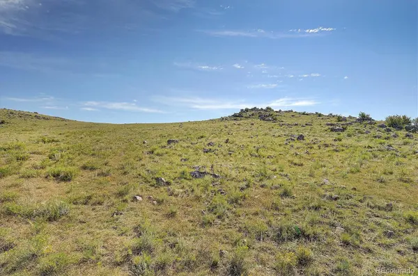 378 Cedar LN, Hartsel, CO 80449