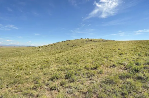378 Cedar LN, Hartsel, CO 80449