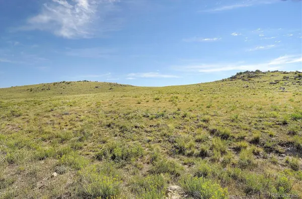 378 Cedar LN, Hartsel, CO 80449