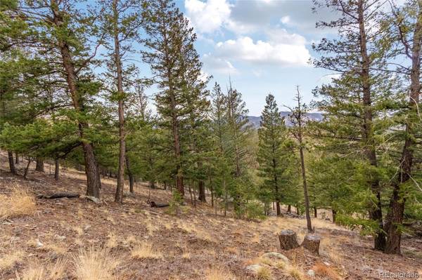 000 Upper Moss Rock RD, Golden, CO 80401