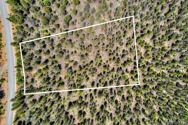 Lot 262 Middle Fork VIS, Fairplay, CO 80440