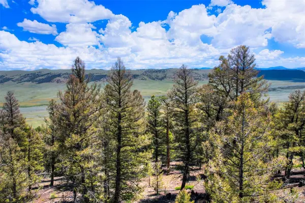 Lot 262 Middle Fork VIS, Fairplay, CO 80440