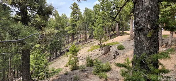 13985 Boulder LN, Larkspur, CO 80118