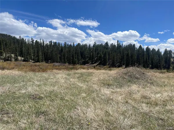 00 Wildhorn RD, Florissant, CO 80816