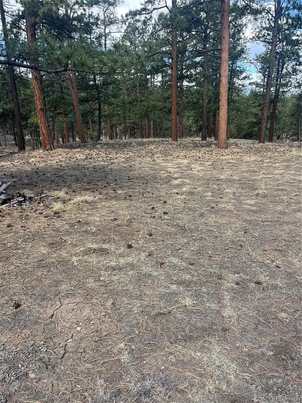 185 Sioux TRL, Westcliffe, CO 81252