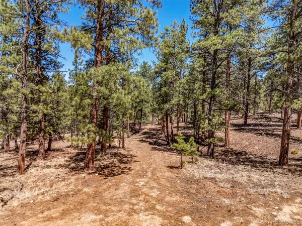 185 Sioux TRL, Westcliffe, CO 81252