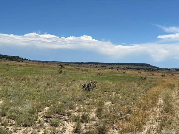 Lot 4 Outback Ranch, Model, CO 81059